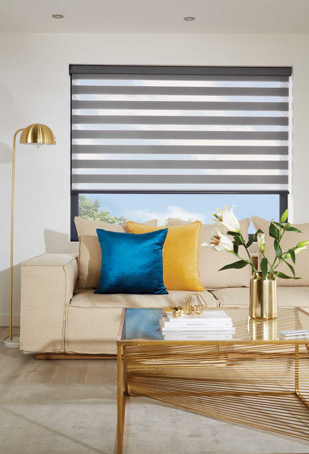 Vision Blinds