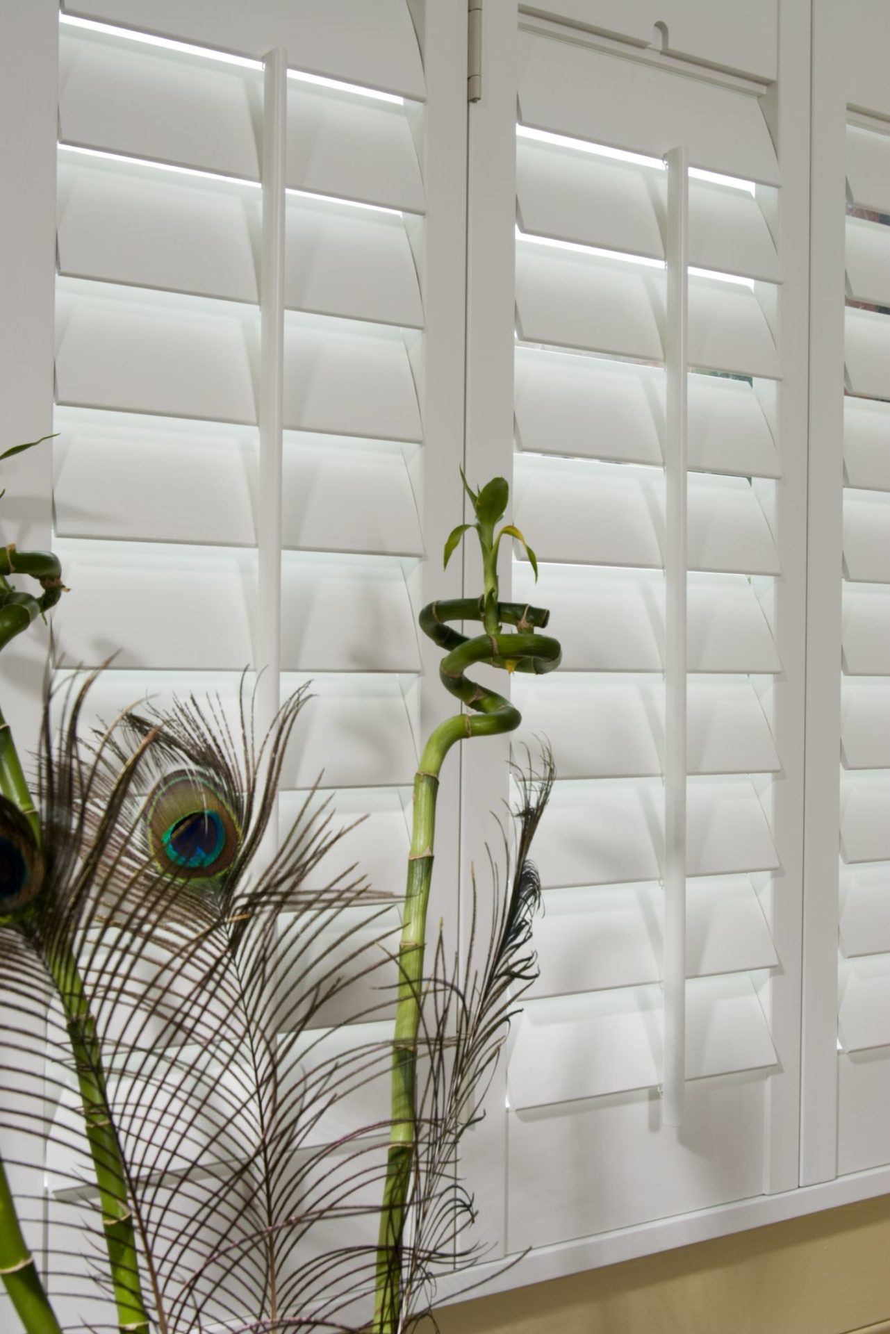Basswood Shutters